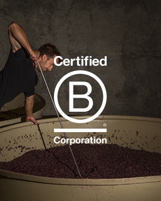 B Corp logo