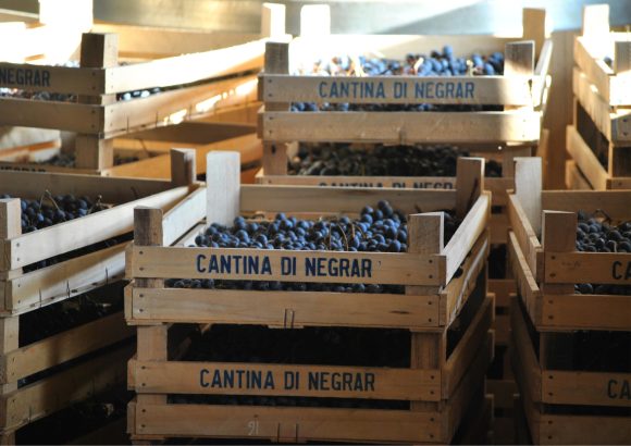 Cantina di Negrar grapes
