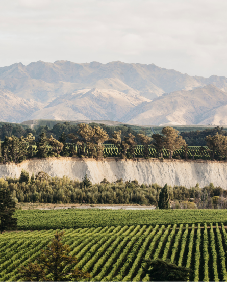 Tohu Winery