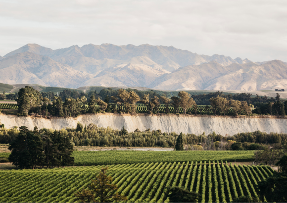 Tohu Winery