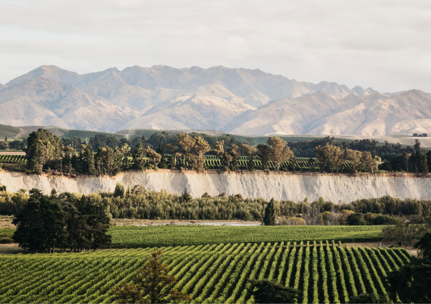 Tohu Winery